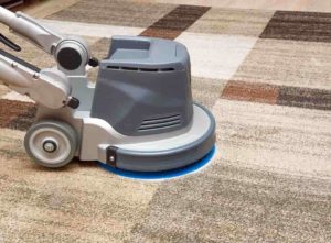 Rotary head carpet cleaner