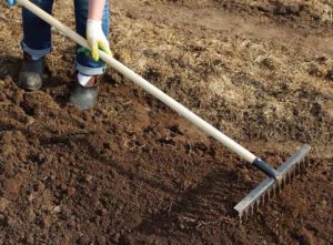 Soil being raked before lawn seed
