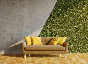 Green wall behind a sofa