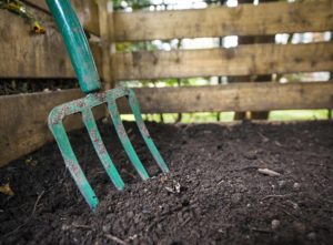 How to build a compost bin out of pallets. Image: Rake staked in the earth within a wood compost bin.