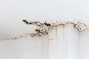 Ceiling damage