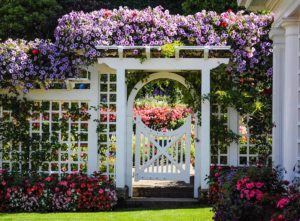 Small garden gate design