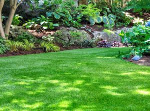 A shady north facing garden