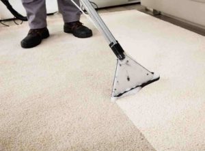 Cleaner removing coffee stains from carpet