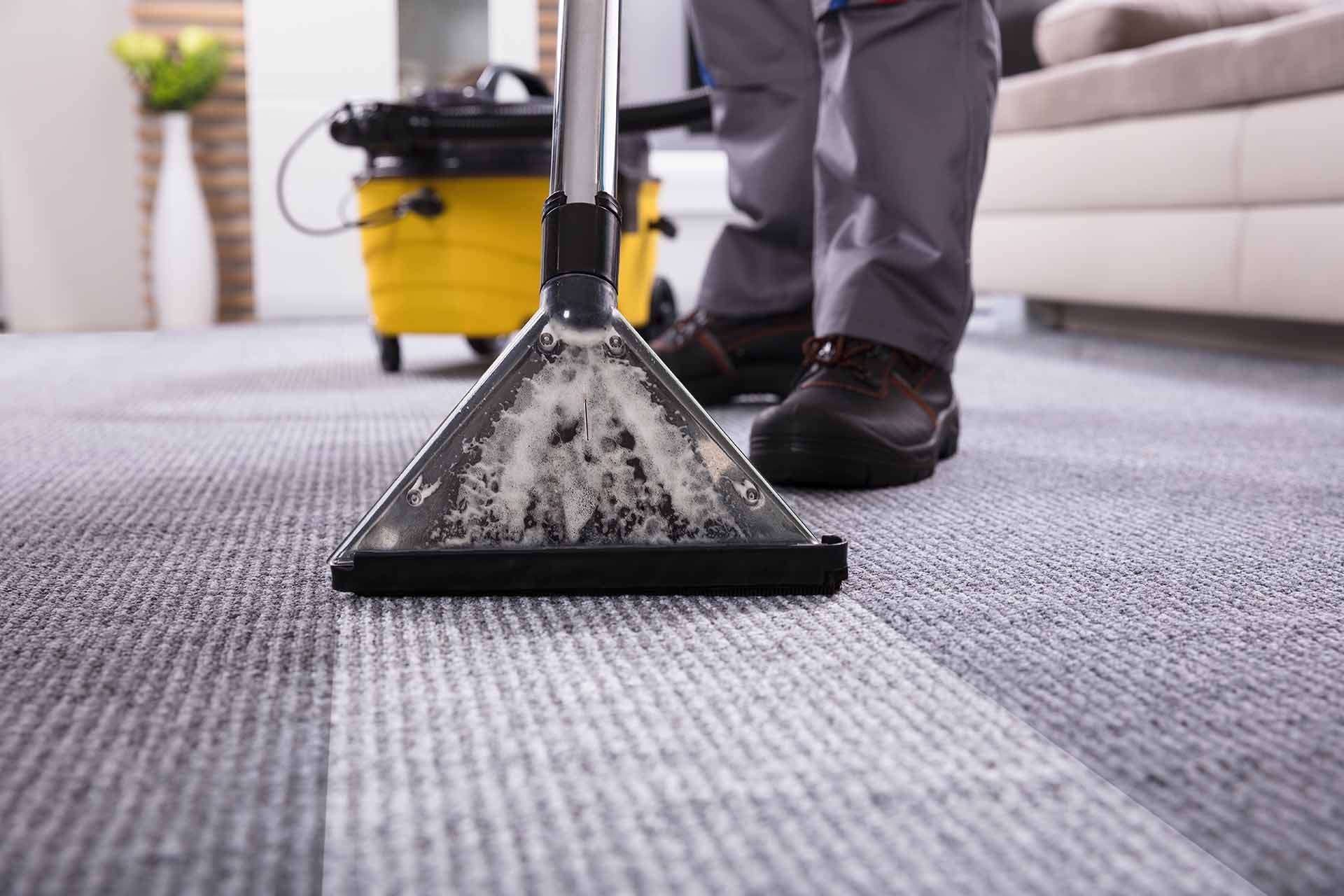 How to Start a Carpet Cleaning Business Checkatrade