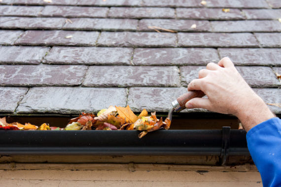 Gutter cleaning costs - leaves in the gutter