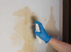 Use liquid to remove wallpaper glue