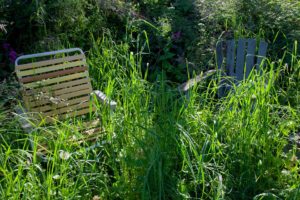 Two garden chairs sat in overgrown grass