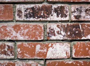 white paint on brick exterior