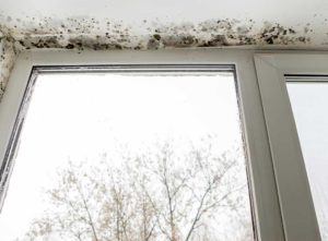 home air pollution