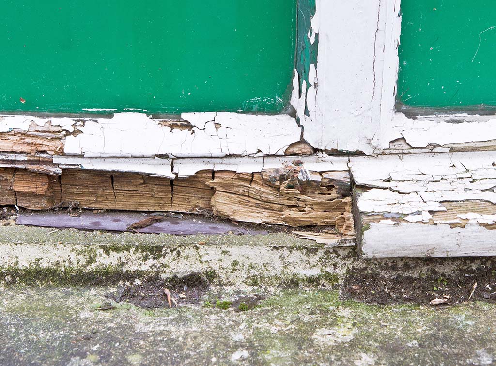 how to repair dry rot in window sills