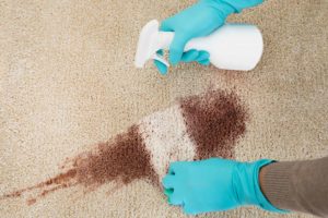how to clean carpet