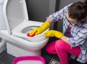 how to clean toilet seat