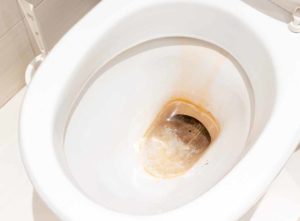 how to clean toilet stains
