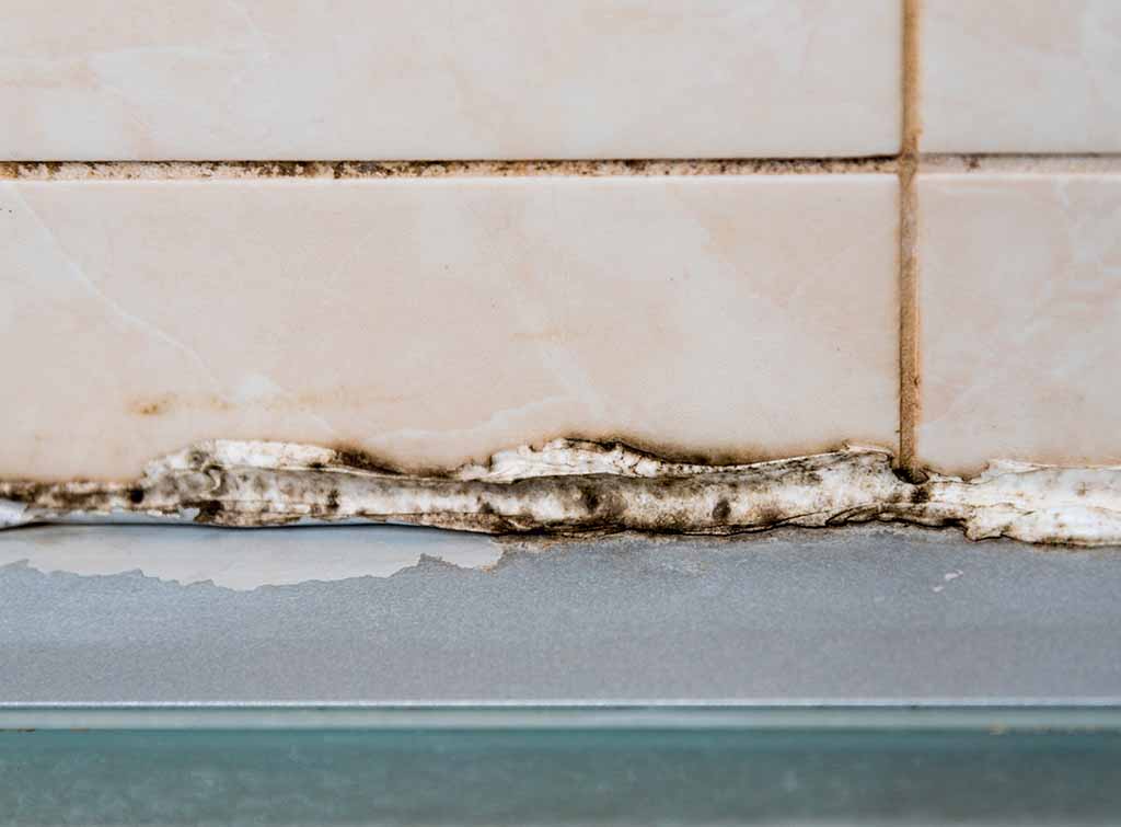 how to stop shower screen seal going mouldy