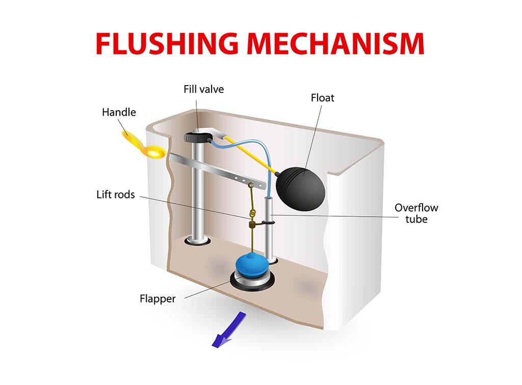 Toilet flushing mechanism