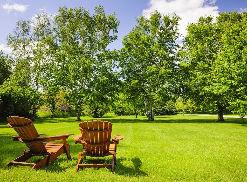 Lush green lawn with two wooden garden chairs