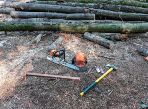 Pile of cut trees with arborist equipment