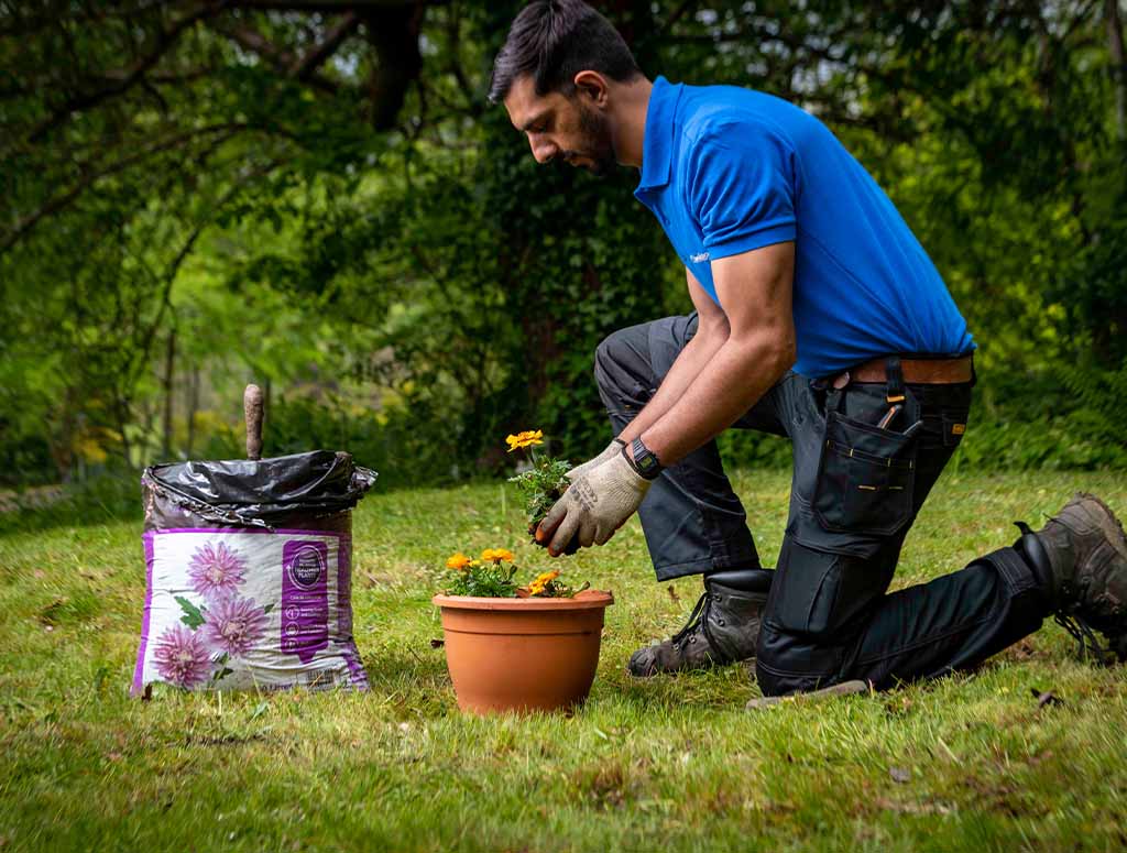 Top 6 jobs to do in spring - gardener prices