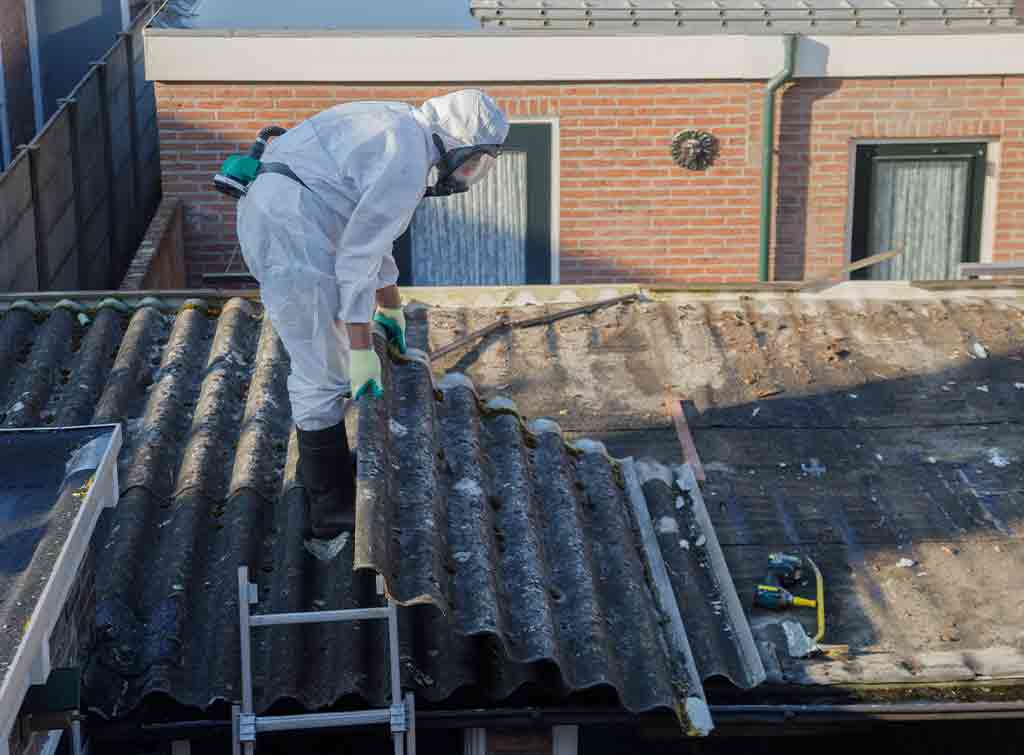 Cost of asbestos survey