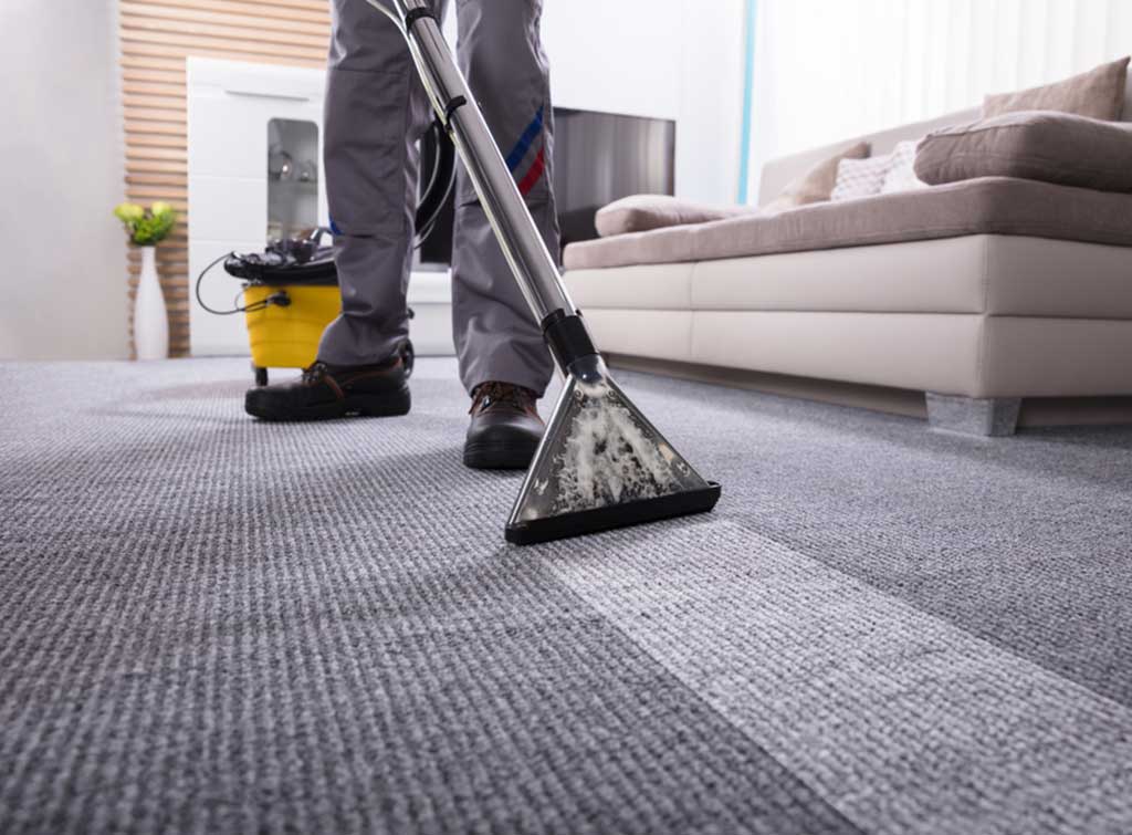 How much do carpet cleaners make