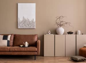 Brown living room ideas