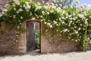 Wood gate ideas