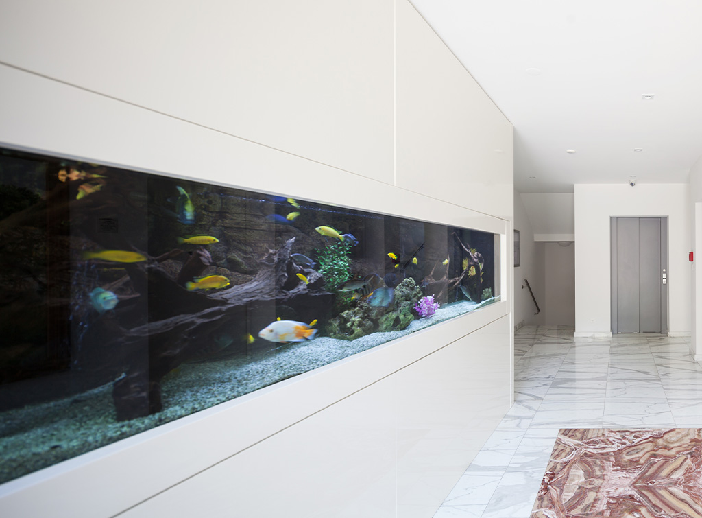 Built-In Fish Tank Ideas For Your Home in 2024