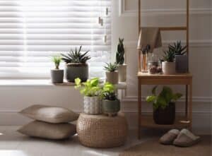 Box room over stairs ideas - plants, cushions, and shelving units next to window with white blinds