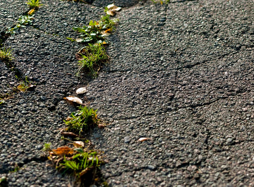 Driveway cleaning services near me