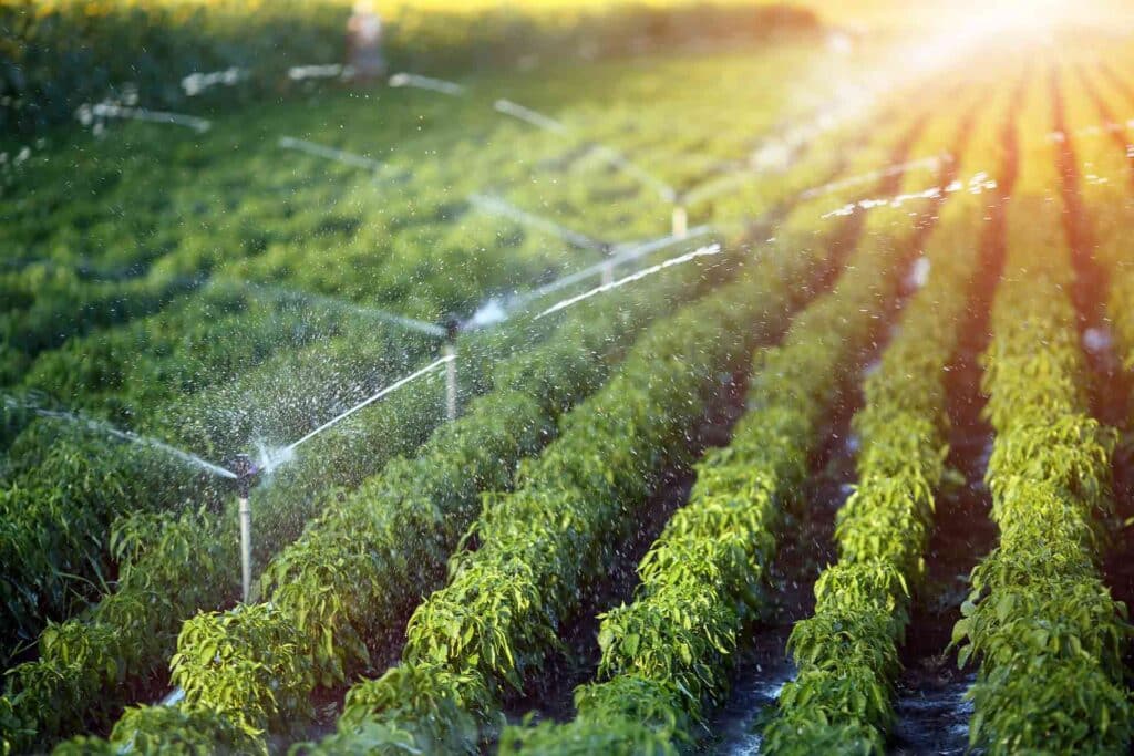 Sprinkler installation near me feature