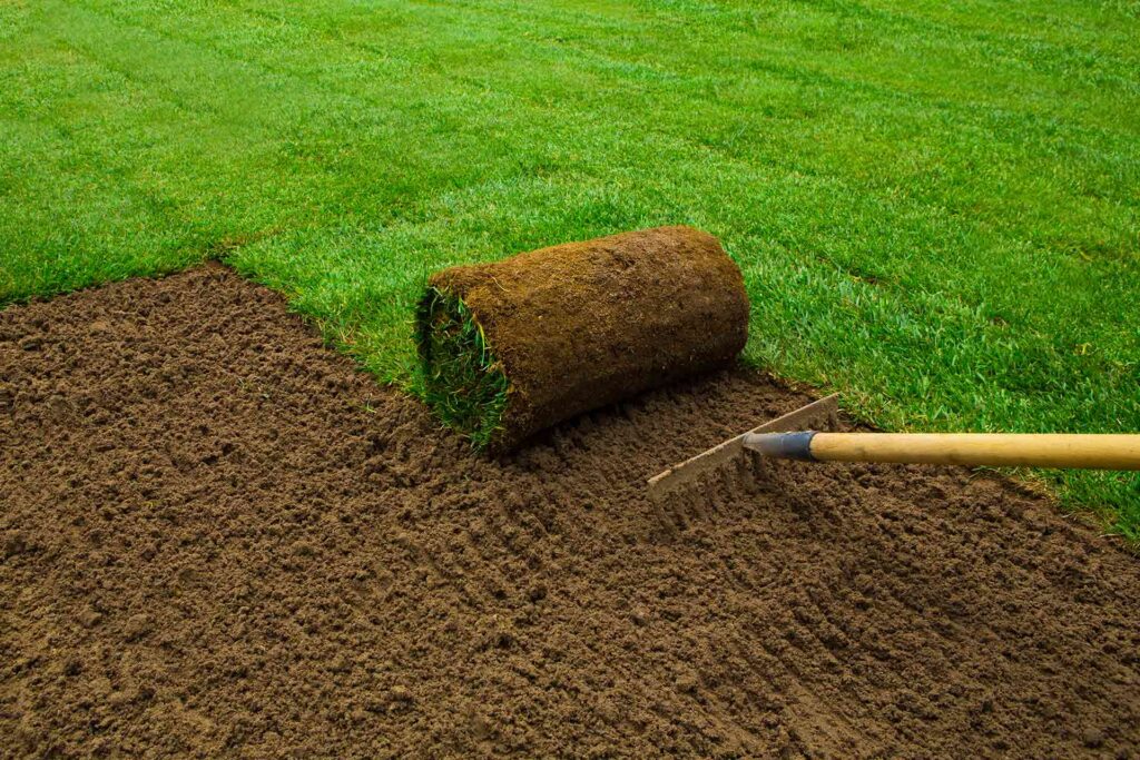 Turf companies near me