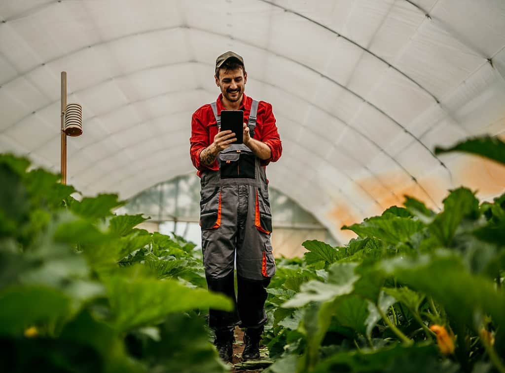 seo for gardeners brings success for gardening businesses