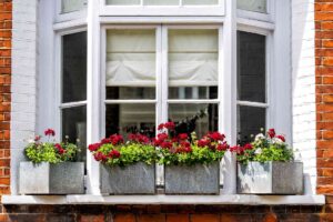Bay window with flowers