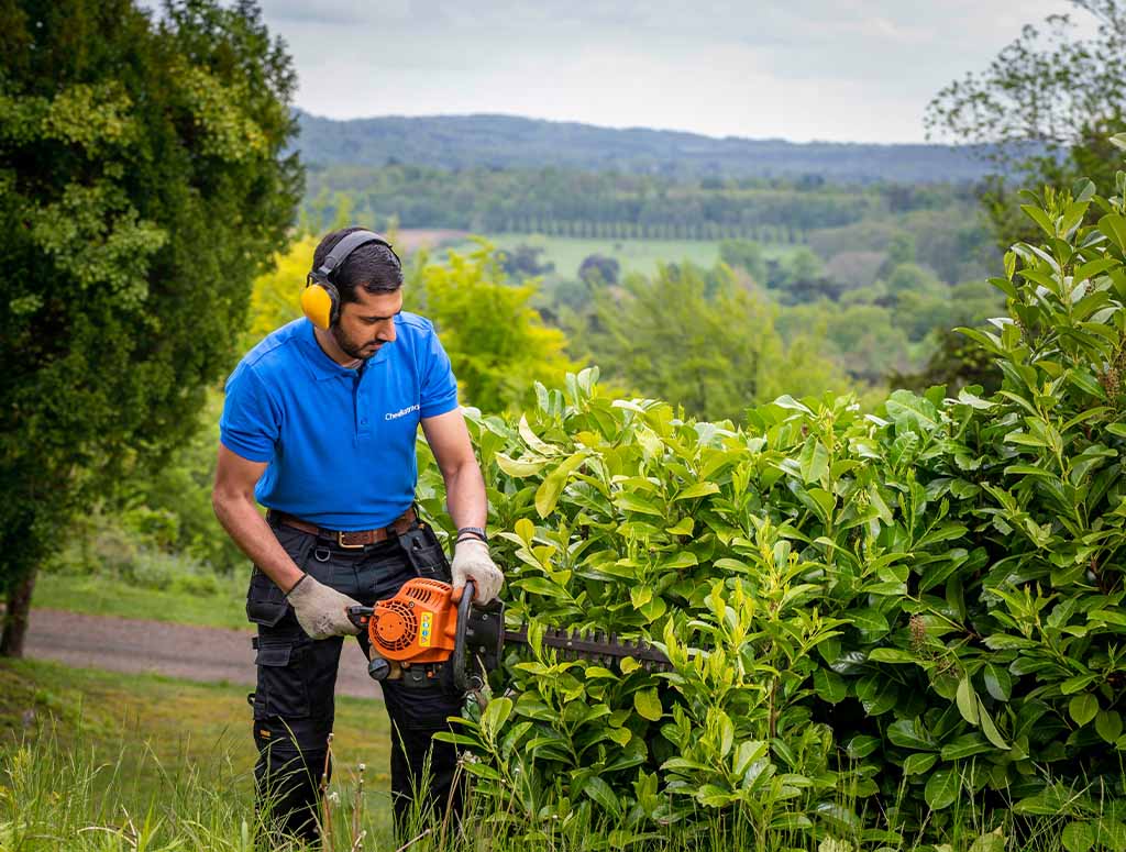 Tools and equipment for gardening