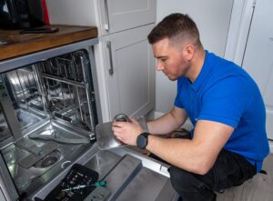 Dishwasher not draining feature