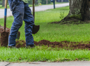 Contractor digging trenches for a herringbone drainage system